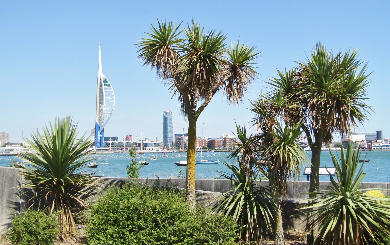 Trees on Gosport waterfront with Portsmouth Harbour and the Spinnaker Tower across the water